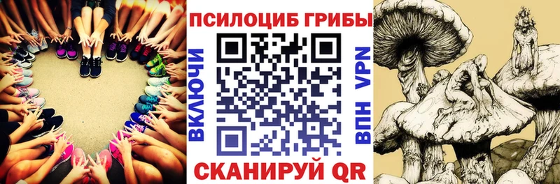 Галлюциногенные грибы Magic Shrooms  Урень 